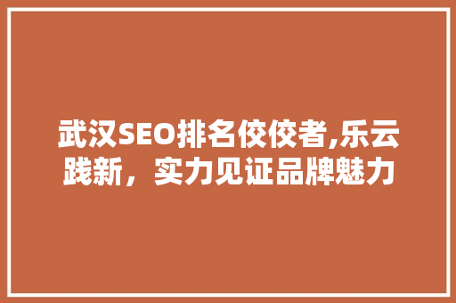 武汉SEO排名佼佼者,乐云践新，实力见证品牌魅力