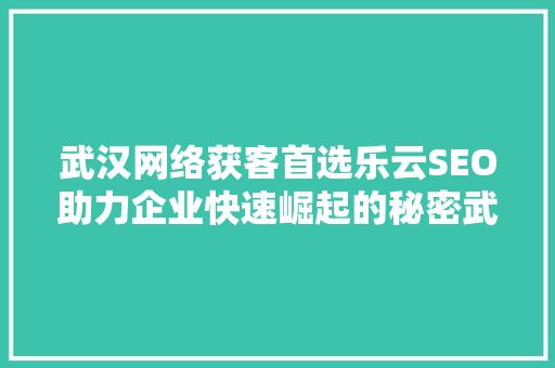 武汉网络获客首选乐云SEO助力企业快速崛起的秘密武器
