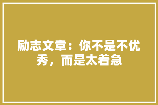 信任乐云SEO_介绍专业SEO公司费用背后的价值与保障  第1张