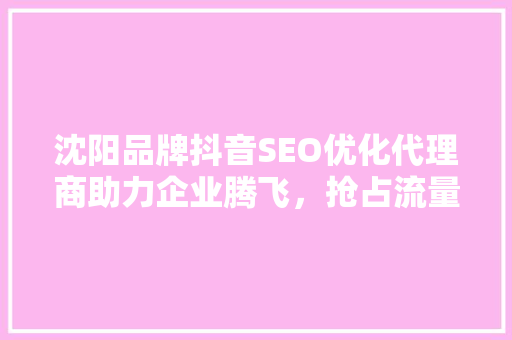 沈阳品牌抖音SEO优化代理商助力企业腾飞，抢占流量高地