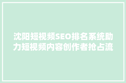 沈阳短视频SEO排名系统助力短视频内容创作者抢占流量高地