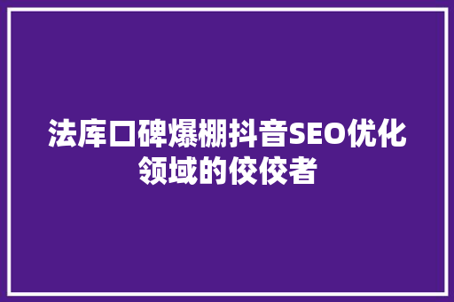 法库口碑爆棚抖音SEO优化领域的佼佼者