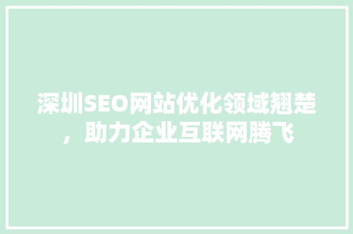 深圳SEO网站优化领域翘楚，助力企业互联网腾飞