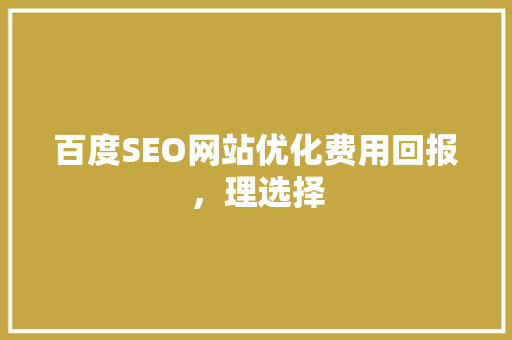 百度SEO网站优化费用回报，理选择