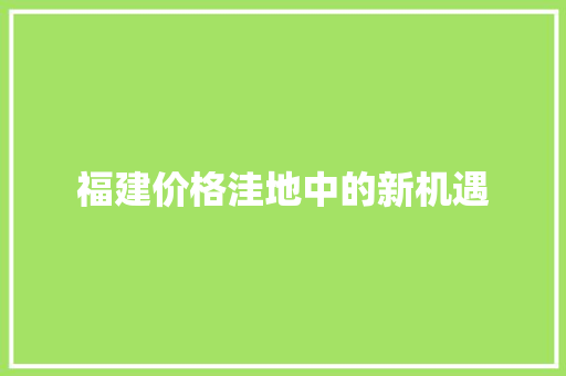福建价格洼地中的新机遇