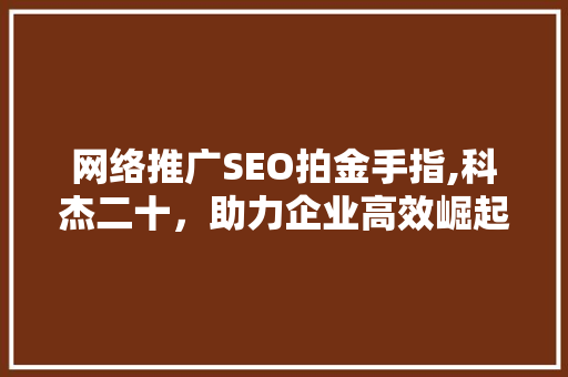 网络推广SEO拍金手指,科杰二十，助力企业高效崛起