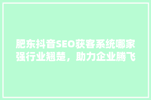 肥东抖音SEO获客系统哪家强行业翘楚，助力企业腾飞