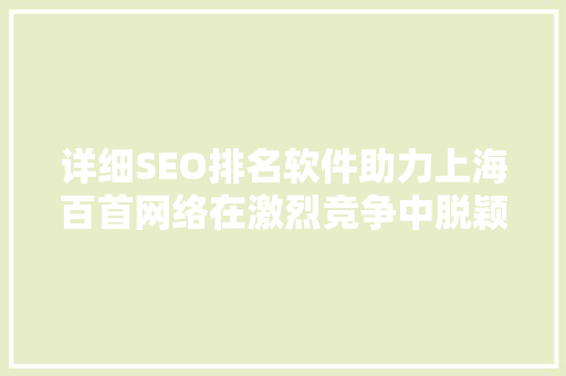 详细SEO排名软件助力上海百首网络在激烈竞争中脱颖而出