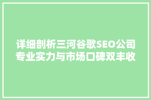 详细剖析三河谷歌SEO公司专业实力与市场口碑双丰收