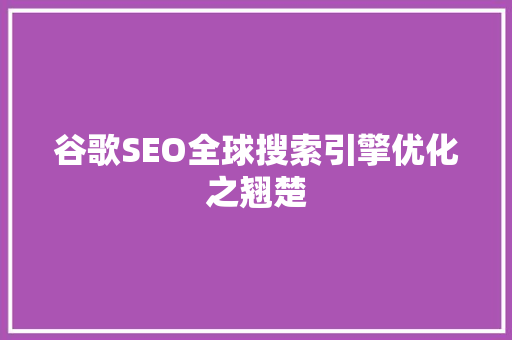 谷歌SEO全球搜索引擎优化之翘楚
