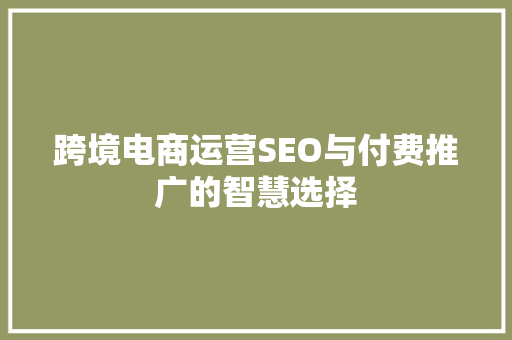跨境电商运营SEO与付费推广的智慧选择