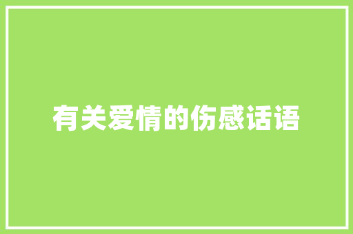 南昌SEO鹉行者SEO08,介绍SEO优化之路，助力企业腾飞