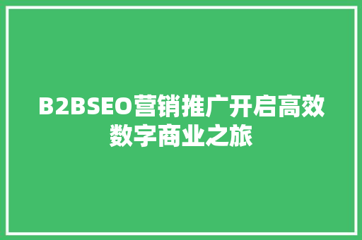 B2BSEO营销推广开启高效数字商业之旅
