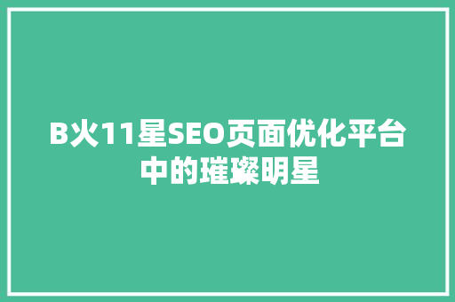 B火11星SEO页面优化平台中的璀璨明星
