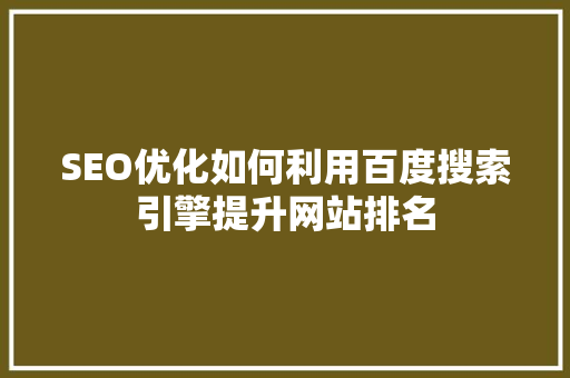 SEO优化如何利用百度搜索引擎提升网站排名