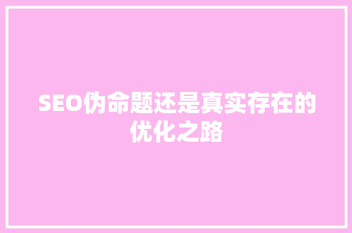 SEO伪命题还是真实存在的优化之路
