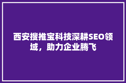 西安搜推宝科技深耕SEO领域，助力企业腾飞