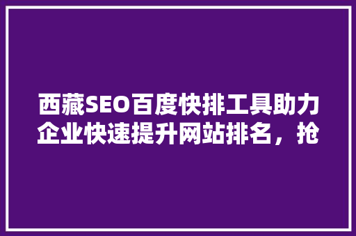 西藏SEO百度快排工具助力企业快速提升网站排名，抢占市场先机