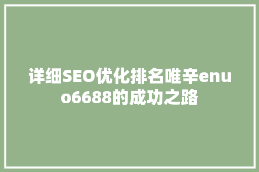 详细SEO优化排名唯辛enuo6688的成功之路