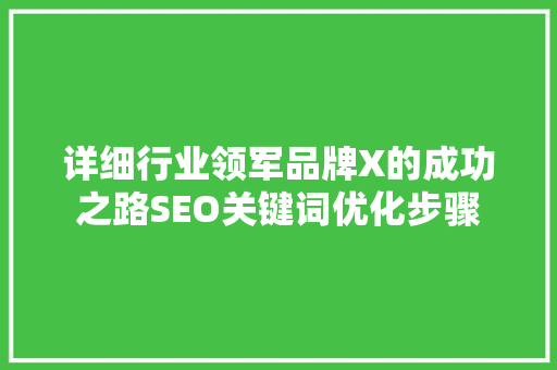 详细行业领军品牌X的成功之路SEO关键词优化步骤