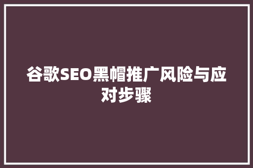 谷歌SEO黑帽推广风险与应对步骤
