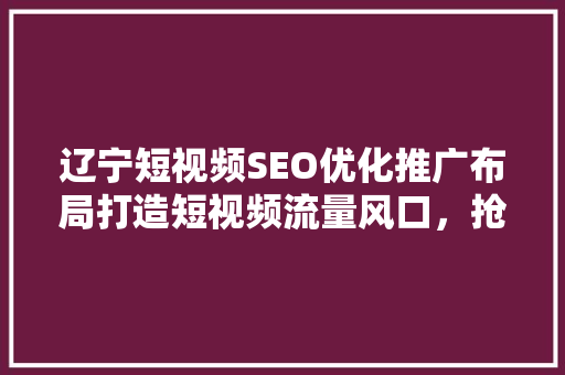 辽宁短视频SEO优化推广布局打造短视频流量风口，抢占市场先机