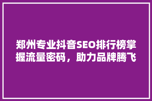 郑州专业抖音SEO排行榜掌握流量密码，助力品牌腾飞