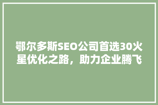 鄂尔多斯SEO公司首选30火星优化之路，助力企业腾飞