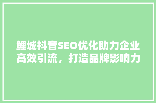 鲤城抖音SEO优化助力企业高效引流，打造品牌影响力