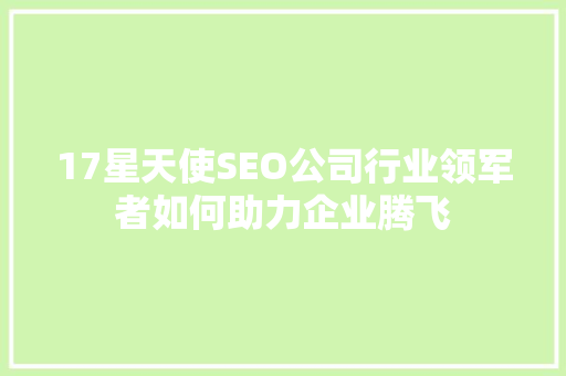 17星天使SEO公司行业领军者如何助力企业腾飞