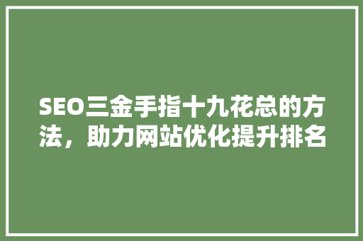 SEO三金手指十九花总的方法，助力网站优化提升排名