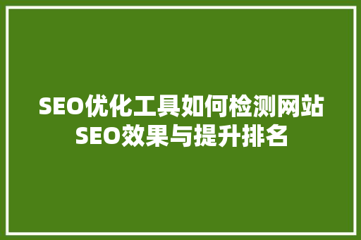 SEO优化工具如何检测网站SEO效果与提升排名