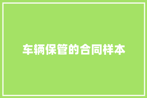介绍仙桃SEO机构,助力企业网络营销新篇章