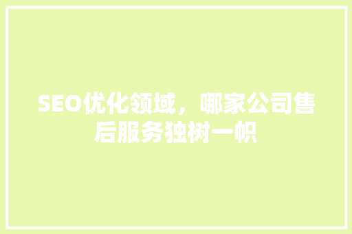 SEO优化领域，哪家公司售后服务独树一帜