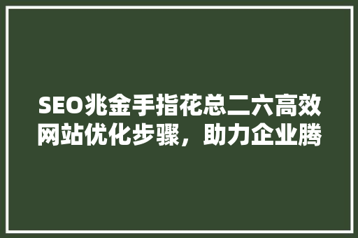 SEO兆金手指花总二六高效网站优化步骤，助力企业腾飞
