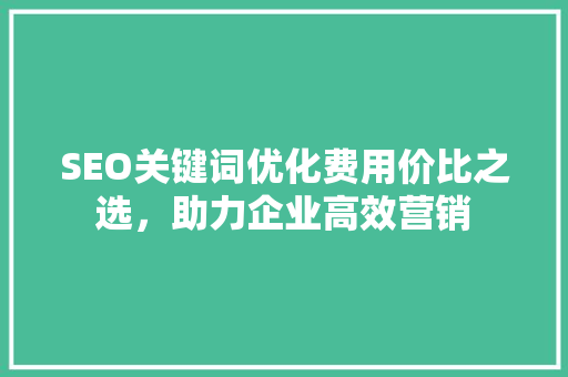 SEO关键词优化费用价比之选，助力企业高效营销
