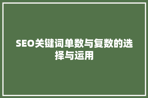 SEO关键词单数与复数的选择与运用