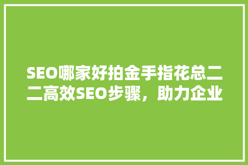 SEO哪家好拍金手指花总二二高效SEO步骤，助力企业腾飞