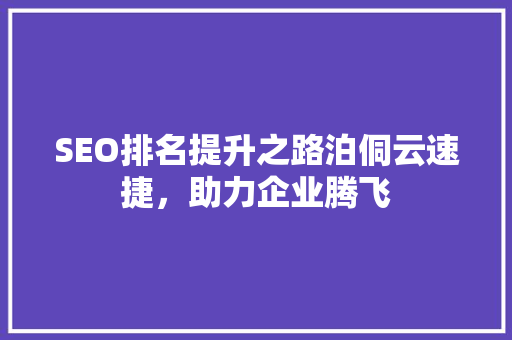 SEO排名提升之路泊侗云速捷，助力企业腾飞