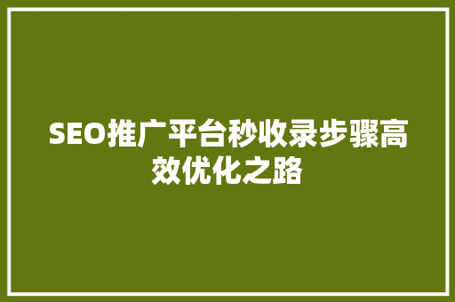SEO推广平台秒收录步骤高效优化之路