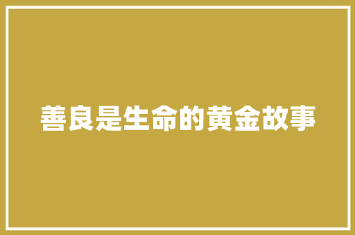 SEO爱好者交流平台共享智慧，共筑SEO生态圈
