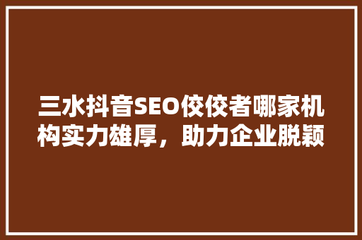 三水抖音SEO佼佼者哪家机构实力雄厚，助力企业脱颖而出