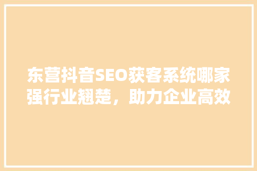 东营抖音SEO获客系统哪家强行业翘楚，助力企业高效营销