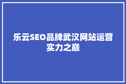 乐云SEO品牌武汉网站运营实力之巅