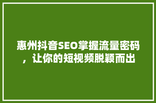 惠州抖音SEO掌握流量密码，让你的短视频脱颖而出