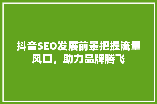 抖音SEO发展前景把握流量风口，助力品牌腾飞