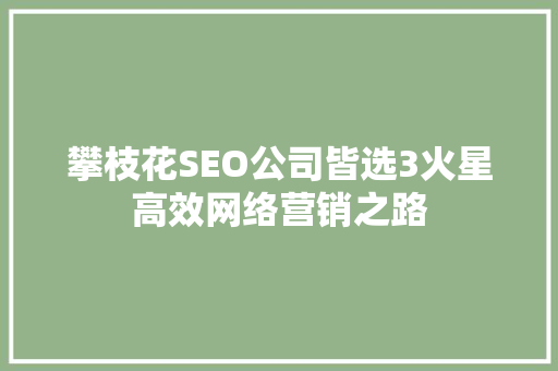 攀枝花SEO公司皆选3火星高效网络营销之路