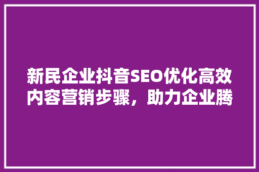 新民企业抖音SEO优化高效内容营销步骤，助力企业腾飞