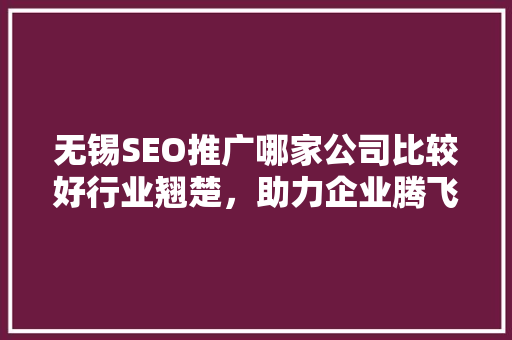 无锡SEO推广哪家公司比较好行业翘楚，助力企业腾飞