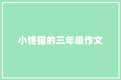 张家界SEO与海瑶SEO,介绍本地化搜索引擎优化之路